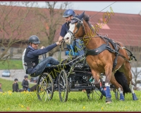 2POSIEUX 0385
